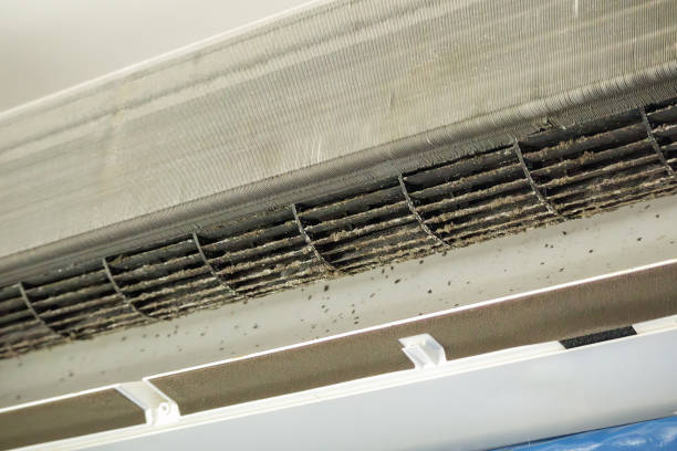 Ventilation Cleaning Services in Pine Canyon, CA